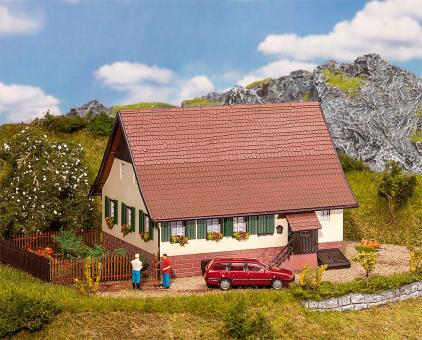 Faller Leibgedinghaus 