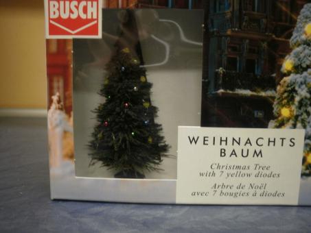 Busch beleuchteter Weihnachtsbaum ohne Schnee 