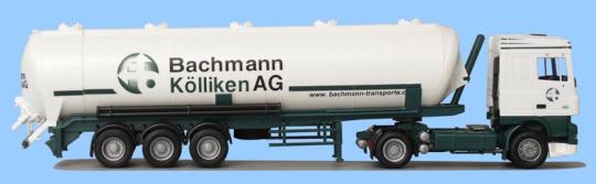 AWM LKW DAF XF 95 SC Kippsilo-SZ Bachmann 