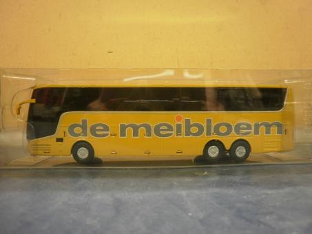 Holland oto Reisebus Van Hool Astron TX De Meibloem gelb 