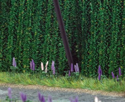 Busch 8 Stauden Wildlupinen 9792 